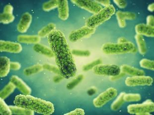 Śmiertelnie groźne bakterie oporne na antybiotyki. Czego należy się obawiać?