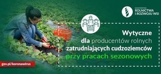 Grafika osoba zbierająca truskawki, logo Ministerstwa rolnictwa i rozwoju wsi, ikona w kółku rolnicy i napis: Wytyczne dla producentów rolnych zatrudniających cudzoziemców przy pracach sezonowych