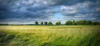 PROGNOZA NIEBEZPIECZNYCH ZJAWISK METEOROLOGICZNYCH