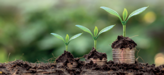 Trzy rosnące rośliny umieszczone na błyszczących monetach na tle ziemi, symbolizujące wzrost inwestycji lub zysków ekonomicznych związanych z rolnictwem lub ekologią.