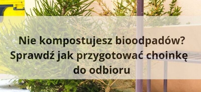 Zdjęcie przedstawia plakat informacyjny z tekstem: "Nie kompostujesz bioodpadów? Sprawdź, jak przygotować choinkę do odbioru", umieszczony na tle iglastego drzewka i jasnej ściany.