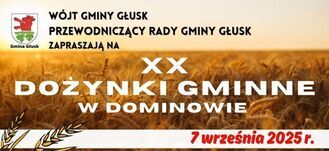 Plakat promujący XX Dożynki Gminne w Dominowie, 7 września 2025. Widać program uroczystości, zdjęcia artystów, kłosy zbóż i herb gminy. Kolory złota i zieleni dominują.