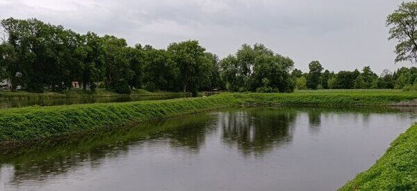 Mały staw otoczony bujną zielenią. Na wodzie pływają kaczki, a w tle widać drzewa i pochmurne niebo. Atmosfera jest spokojna i naturalna.