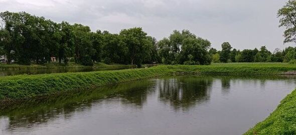 Staw otoczony zielenią, na którym pływają kaczki. W tle widać drzewa i zachmurzone niebo. Brzeg porośnięty trawą i roślinami brzegowymi nadaje scenerii spokojny, naturalny wygląd.