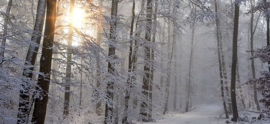 WOJEWÓDZTWO LUBELSKIE OSTRZEŻENIA METEOROLOGICZNE ZBIORCZO NR 8