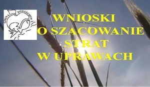 logo gminy Borzechów z napisem wnioski o szacowanie strat w uprawach