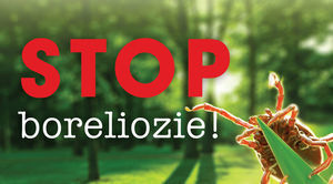 Stop boreliozie!