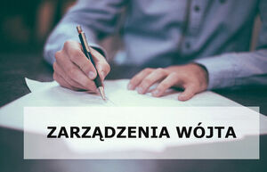 Zarządzenie Wójta Gminy Borzechów w sprawie konsultacji społecznych projektu 
Strategii Rozwoju Gminy Borzechów do 2030 roku