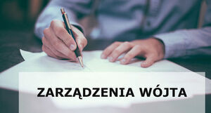 Tytuł:
    Zarządzenie Wójta Gminy Borzechów w sprawie wyznaczenia na terenie Gminy Borzechów miejsc przeznaczonych na bezpłatne umieszczanie urzędowych obwieszczeń wyborczych i plakatów wszystkich komitetów wyborczych w wyborach Prezydenta Rzeczypospolitej Polskiej zarządzonych na dzień 18 maja 2025 r.