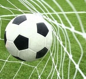 🏆⚽ XXII Turnieju Piłki Nożnej Chłopców oraz XV Turnieju Piłki Nożnej Dziewcząt Szkół Podstawowych o Puchar Wójta Gminy Borzechów⚽🏆