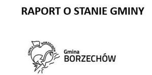 Raport o stanie Gminy Borzechów za 2024r.