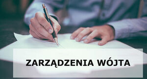 ZARZĄDZENIE Nr 38/2025 Wójta Gminy Borzechów z dnia 22 lipca 2025 r. w sprawie ogłoszenia naboru na stanowisko Kierownika Klubu Malucha w Borzechowie