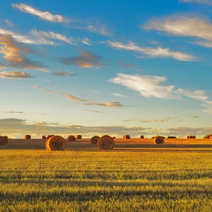There are many variations of passages of Lorem Ipsum available, but the majority have suffered alteration in some form, by injected humour, or randomised words 