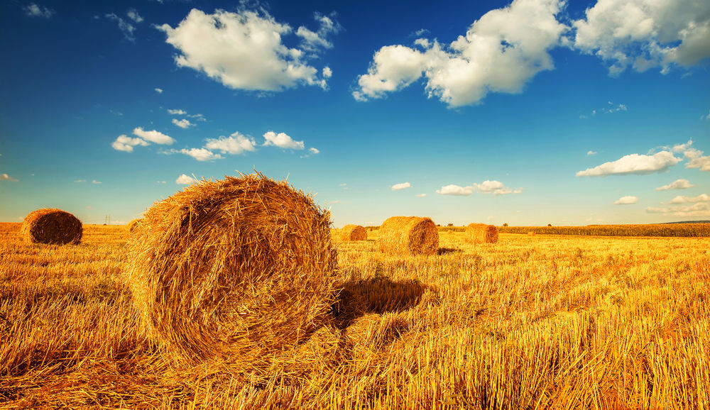 There are many variations of passages of Lorem Ipsum available, but the majority have suffered alteration in some form, by injected humour, or randomised words 