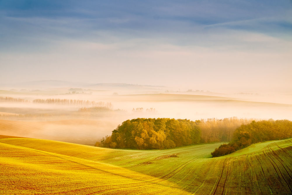 It is a long established fact that a reader will be distracted by the readable content of a page when looking at its layout. The point of using Lorem Ipsum is that