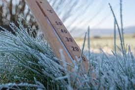 Ostrzeżenie meteorologiczne - przymrozki !