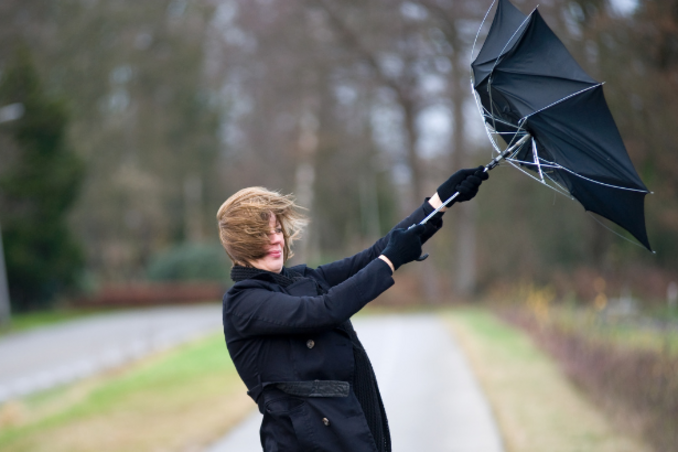 Kobieta trzymająca odwróconą parasolkę w wietrzną pogodę na ścieżce w parku.