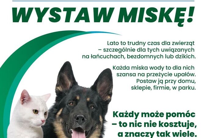 Wspierajmy zwierzęta latem !!!