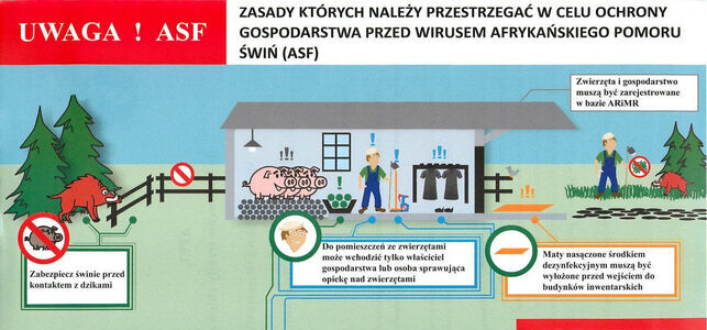ASF w Polsce - mapy, obszary objęte restrykcjami, ogniska u świń i dzików
