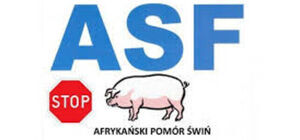 ROZPORZĄDZENIE WOJEWODY POMORSKIEGO
z dnia 25 lipca 2024 r.
w sprawie zwalczania afrykańskiego pomoru świń (ASF)