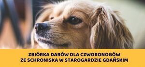 Zbiórka darów dla czworonogów
ze schroniska w Starogardzie Gdańskim
