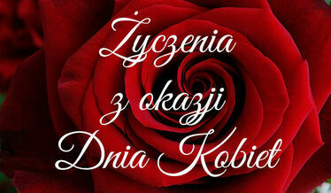 napis Życzenia z okazji Dnia Kobiet na tle czerwonej róży