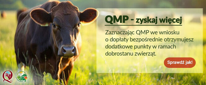 Ekoschemat „Dobrostan zwierząt” - dodatkowe pieniądze