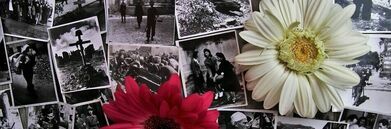 stare fotografie i kwiaty