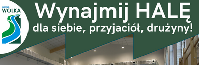 Na plakacie widnieje zdjęcie hali sportowej z tablicami do koszykówki. Po lewej stronie znajduje się zielony napis "Wynajmij HALĘ", a poniżej informacje kontaktowe oraz zdjęcie piłek i bociana w lewym dolnym rogu.