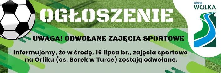 Na tle grafiki z piłkami, znajduje się ogłoszenie o odwołaniu zajęć sportowych 16 lipca na Orliku w Turce z powodu nieobecności trenera.