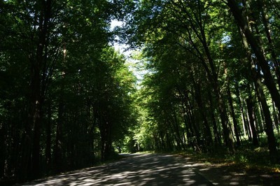 Krzczonowski Park Krajobrazowy