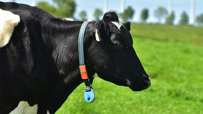 ARiMR ogłasza termin naborów wniosków o przyznanie pomocy na "Modernizację gospodarstw rolnych"