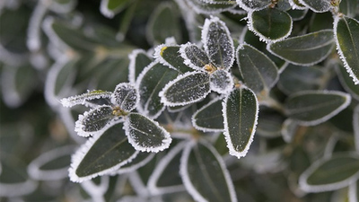 PROGNOZA NIEBEZPIECZNYCH ZJAWISK METEOROLOGICZNYCH z dn. 4 stycznia 2016 r.