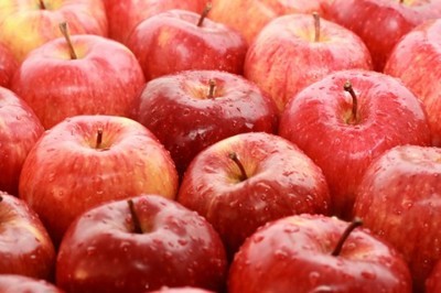Kolejna dostawa jabłek dla mieszkańców Gminy Jabłonna