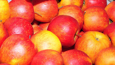 Jabłka dla mieszkańców Gminy Jabłonna - pierwsza dostawa