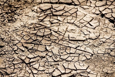 Informacja dotycząca zgłaszania strat spowodowanych suszą 2018