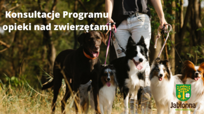 zdjęcie czterech psów na smyczach, tekst konsultacje programu opieki nad zwierzętami