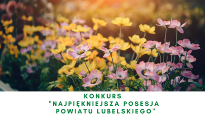 zdjęcie kwiatów, tekst konkurs najpiękniejsza posesja powiatu lubelskiego