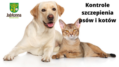 zdjęcie psa i kota, tekst kontrole szczepienia psów i kotów