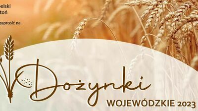 Dożynki wojewódzkie