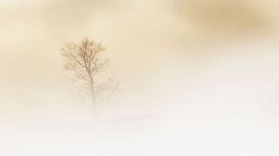 Ostrzeżenie meteorologiczne Nr 92