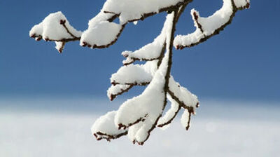 PROGNOZA NIEBEZPIECZNYCH ZJAWISK METEOROLOGICZNYCH