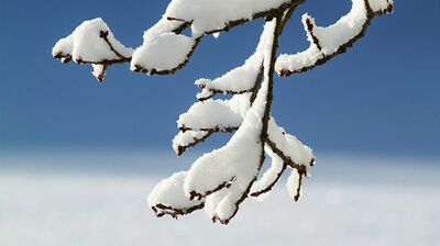 PROGNOZA NIEBEZPIECZNYCH ZJAWISK METEOROLOGICZNYCH