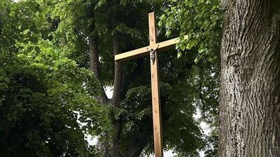 U góry krzyża jest pionowa belka z jasnego, surowego drewna, z widocznymi słojami i kilkoma ciemnymi sękami.

Poprzeczna belka jest osadzona blisko górnego końca, lekko poniżej czubka, również z jasnego drewna.

W miejscu przecięcia belek znajduje się mała figurka ukrzyżowanego (ciemna, metalowa), przymocowana do pionowej belki.

Poniżej figurki pionowa belka schodzi prosto w dół, długa i nieozdobna