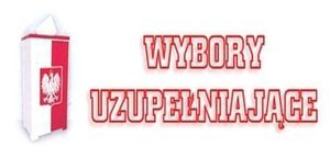 Wybory uzupełniające