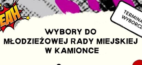 Wybory do Młodzieżowej Rady Miejskiej w Kamionce