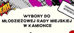 Wybory do Młodzieżowej Rady Miejskiej w Kamionce