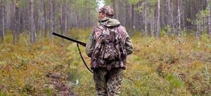 Plan polowań Koła Łowieckiego "Lis"