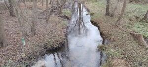 Pierwsze prace w dolinie rzeki "Parysówka".