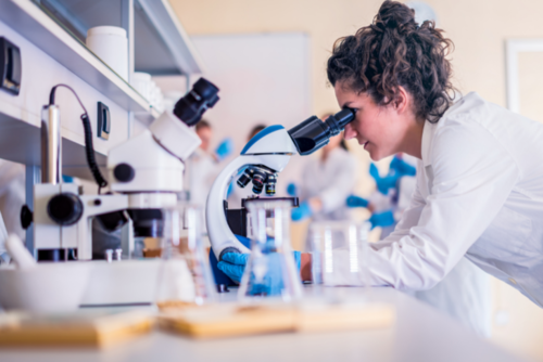 Lab
